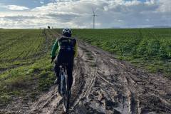 15_12_2024_Cerchi_nel_grano_12