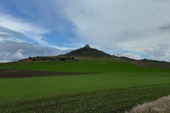 15_12_2024_Cerchi_nel_grano_15