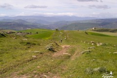 Brigante_2023-114