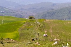 Brigante_2023-128