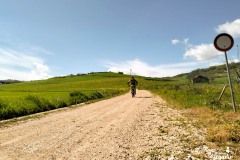 Brigante_2023-158