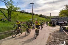 Brigante_2023-206