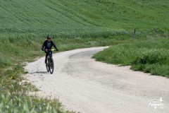 Brigante_2023-49