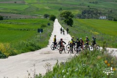 Brigante_2023-58
