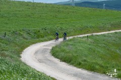 Brigante_2023-60