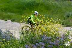 Brigante_2023-70