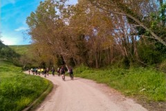 Brigante_2023-79