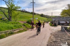Brigante_2023-86