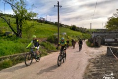 Brigante_2023-87
