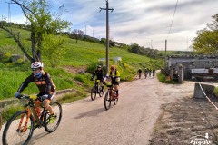 Brigante_2023-88