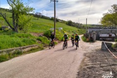 Brigante_2023-90