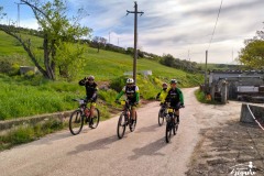 Brigante_2023-91