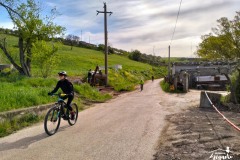 Brigante_2023-97