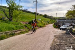 Brigante_2023-99