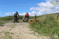 01_165