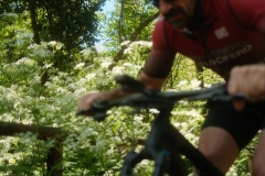 Brigante_2026143