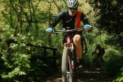 Brigante_2026146