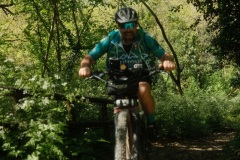 Brigante_2026152
