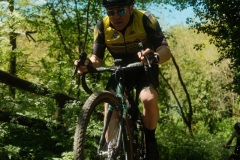 Brigante_2026160