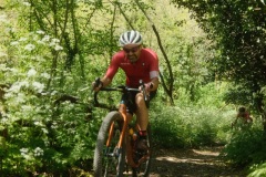 Brigante_2026205