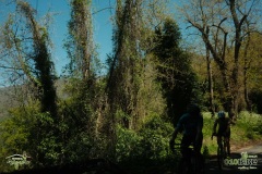 Brigante_2026220