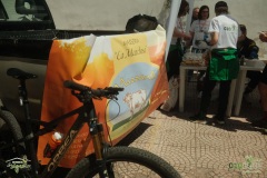 Brigante_2026222