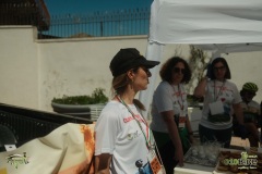 Brigante_2026241