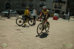 Brigante_2026242