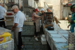 Brigante_2026291
