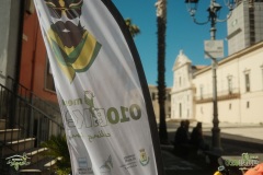 Brigante_2026341